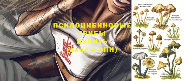 2c-b Белоозёрский