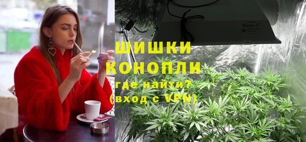 МДПВ Струнино