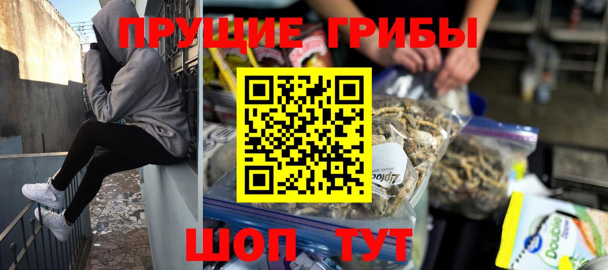 Дальнегорск  Галлюциногенные грибы ЛСД  Вход с VPN 