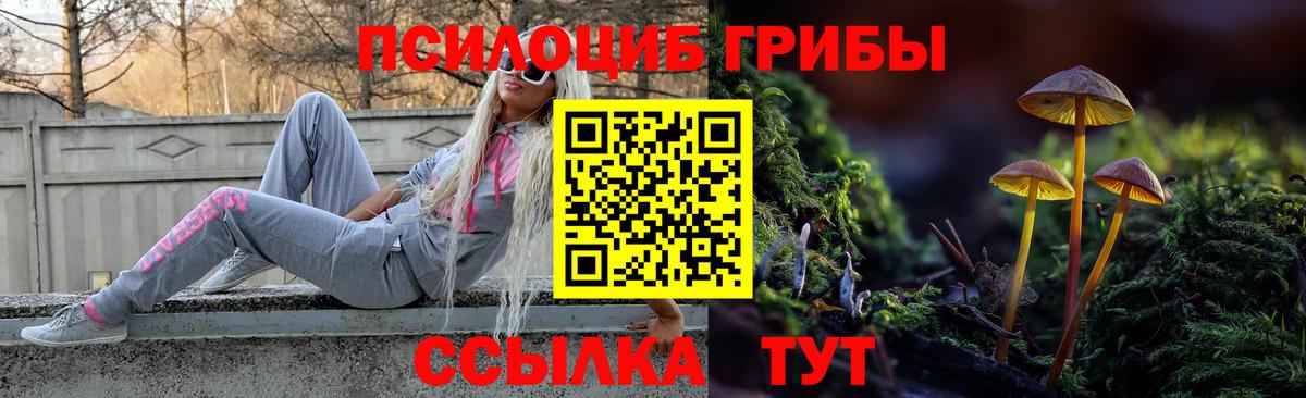 Псилоцибиновые грибы ЛСД Дальнегорск